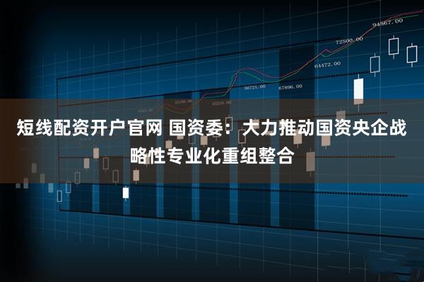 短线配资开户官网 国资委：大力推动国资央企战略性专业化重组整合